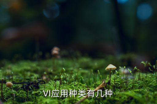 VI應(yīng)用種類有幾種