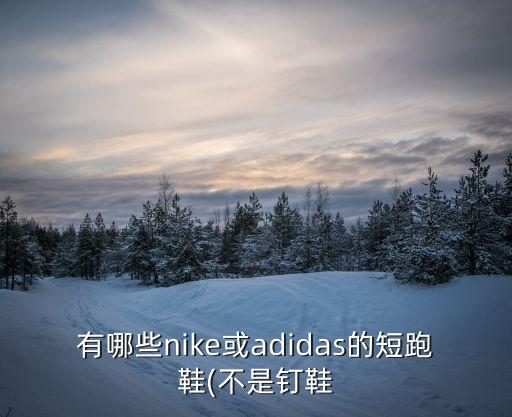 有哪些nike或adidas的短跑鞋(不是釘鞋