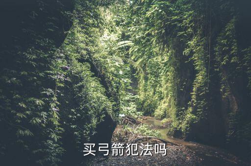 買(mǎi)弓箭犯法嗎