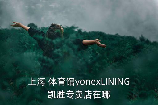 上海 體育館yonexLINING凱勝專賣店在哪