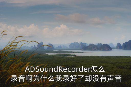 ADSoundRecorder怎么 錄音啊為什么我錄好了卻沒有聲音