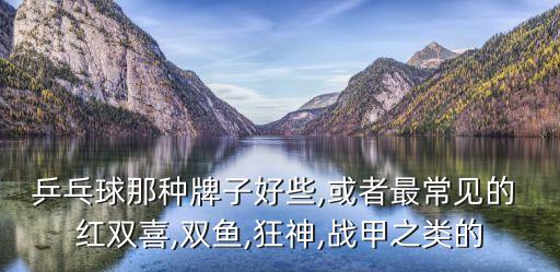 乒乓球那種牌子好些,或者最常見的 紅雙喜,雙魚,狂神,戰(zhàn)甲之類的