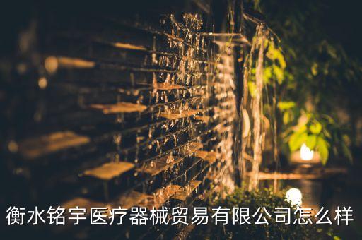 衡水銘宇醫(yī)療器械貿(mào)易有限公司怎么樣