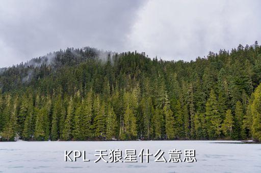 KPL 天狼星什么意思