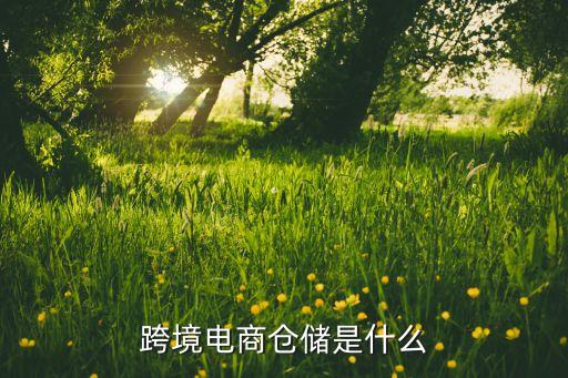 跨境電商倉(cāng)儲(chǔ)是什么