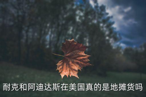 耐克和阿迪達斯在美國真的是地攤貨嗎