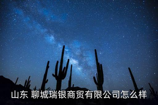 山東 聊城瑞銀商貿(mào)有限公司怎么樣