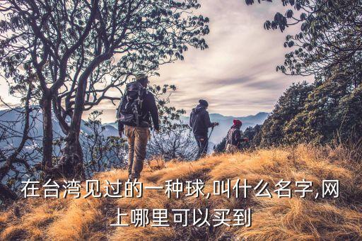 在臺(tái)灣見過的一種球,叫什么名字,網(wǎng)上哪里可以買到