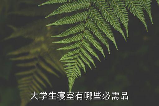 大學(xué)生寢室有哪些必需品