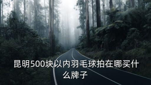  昆明500塊以內(nèi)羽毛球拍在哪買什么牌子