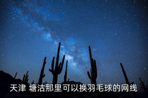 天津 塘沽那里可以換羽毛球的網(wǎng)線