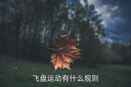 飛盤運動有什么規(guī)則