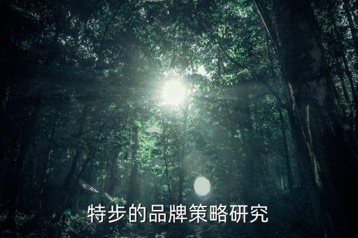 體育用品公司工作分析,大學(xué)生體育用品消費(fèi)分析