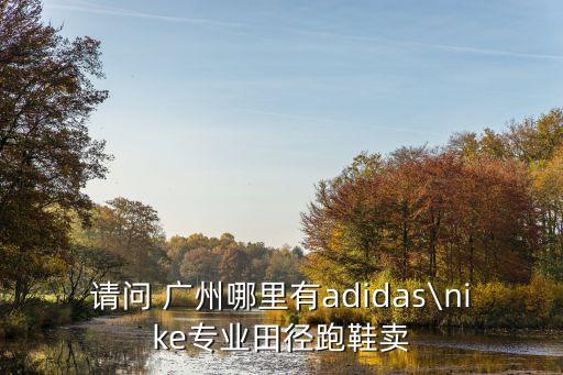 請(qǐng)問(wèn) 廣州哪里有adidas\nike專(zhuān)業(yè)田徑跑鞋賣(mài)