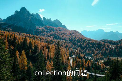 collection的問題