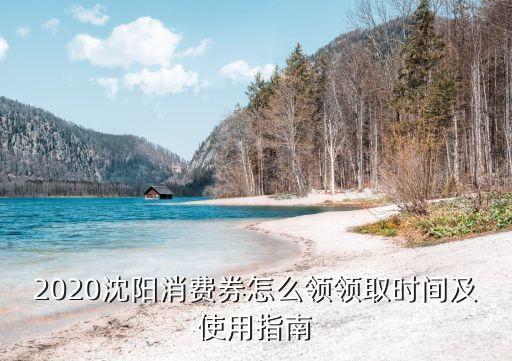 2020沈陽消費券怎么領(lǐng)領(lǐng)取時間及使用指南