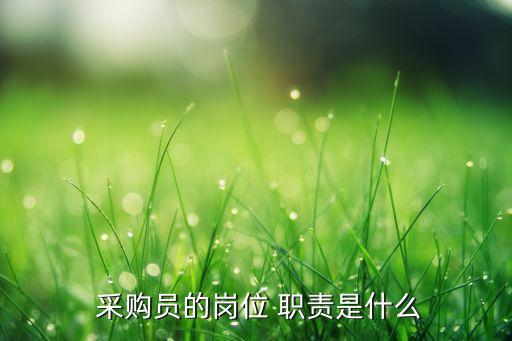  采購(gòu)員的崗位 職責(zé)是什么