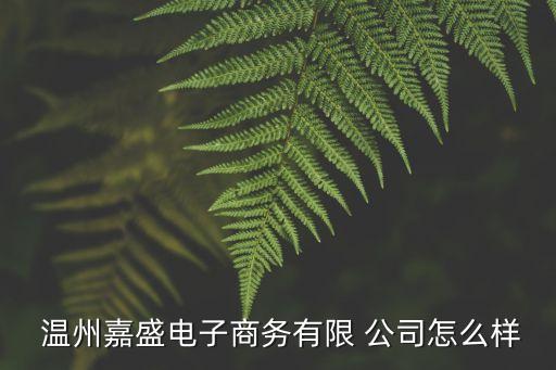  溫州嘉盛電子商務(wù)有限 公司怎么樣