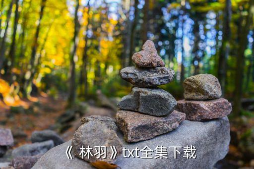 林羽體育用品中心,體育用品中心英語(yǔ)