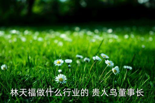 林天福做什么行業(yè)的 貴人鳥(niǎo)董事長(zhǎng)