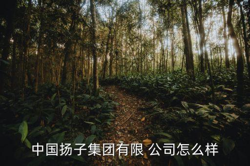 中國揚(yáng)子集團(tuán)有限 公司怎么樣