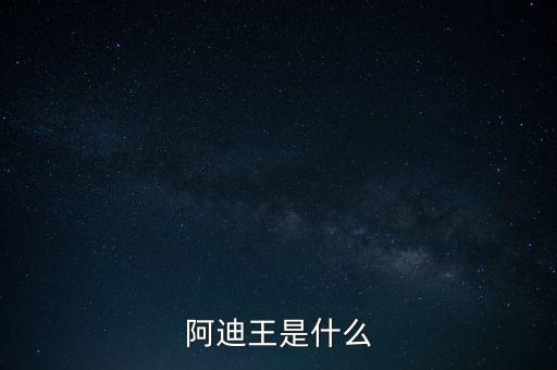 阿迪王是什么