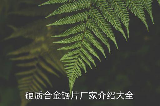 硬質(zhì)合金鋸片廠家介紹大全