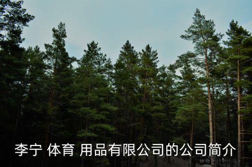 李寧 體育 用品有限公司的公司簡(jiǎn)介