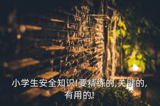 小學(xué)生安全知識(shí)!要精練的,關(guān)鍵的,有用的!