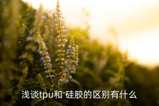 淺談tpu和 硅膠的區(qū)別有什么