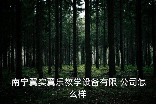  南寧翼實翼樂教學設備有限 公司怎么樣