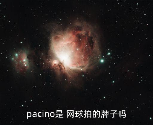 pacino是 網(wǎng)球拍的牌子嗎