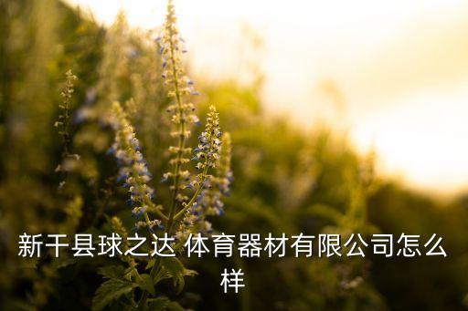 新干縣球之達(dá) 體育器材有限公司怎么樣