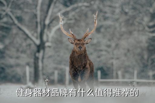 健身器材品牌有什么值得推薦的