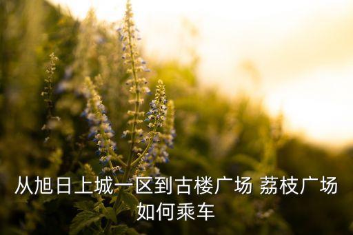 鼓樓荔枝廣場(chǎng)體育用品商場(chǎng)