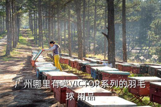 廣州哪里有賣VICTOR系列的羽毛球 用品