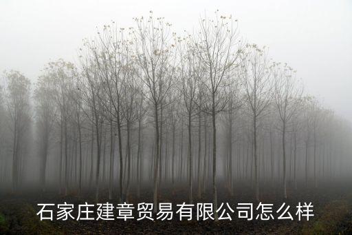 石家莊建章貿(mào)易有限公司怎么樣