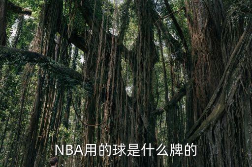 nba體育用品加盟連鎖,騰訊體育用品nba專營店