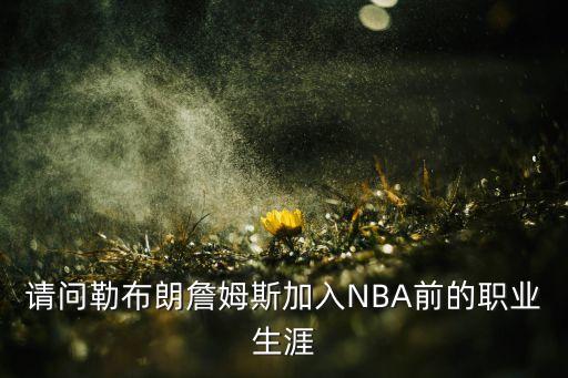 請(qǐng)問(wèn)勒布朗詹姆斯加入NBA前的職業(yè)生涯