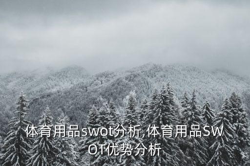 目前體育用品swot分析,體育用品SWOT優(yōu)勢(shì)分析