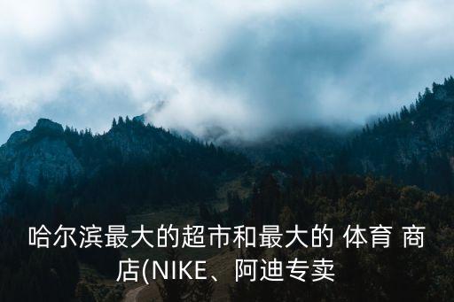 哈爾濱最大的超市和最大的 體育 商店(NIKE、阿迪專賣