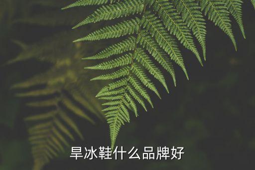 天鵝體育用品,體育用品創(chuàng)業(yè)計劃書