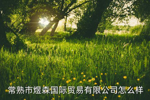  常熟市煜森國際貿(mào)易有限公司怎么樣