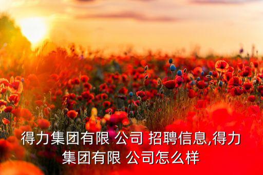 得力集團(tuán)有限 公司 招聘信息,得力集團(tuán)有限 公司怎么樣