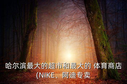 哈爾濱最大的超市和最大的 體育商店(NIKE、阿迪專賣