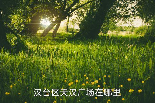 漢臺(tái)區(qū)天漢廣場(chǎng)在哪里