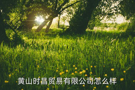 黃山時昌貿(mào)易有限公司怎么樣