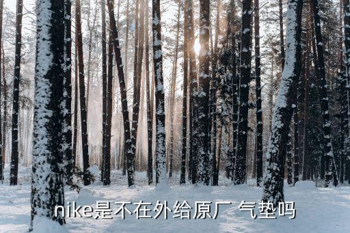 nike是不在外給原廠 氣墊嗎