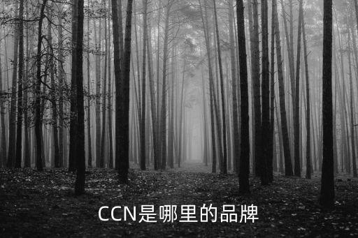 CCN是哪里的品牌